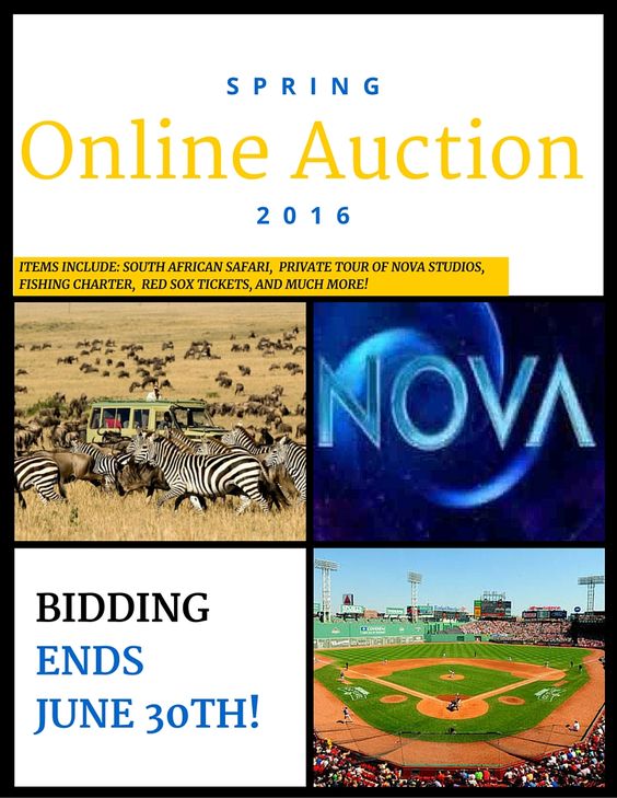 Online Auction Image