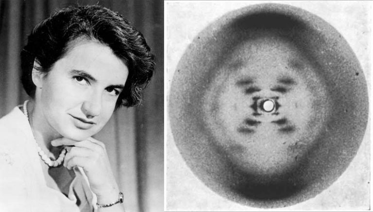 Rosalind Franklin E La Scoperta Del Dna Rosalind Franklin (1920-1958), British chemist. Pioneer molecular