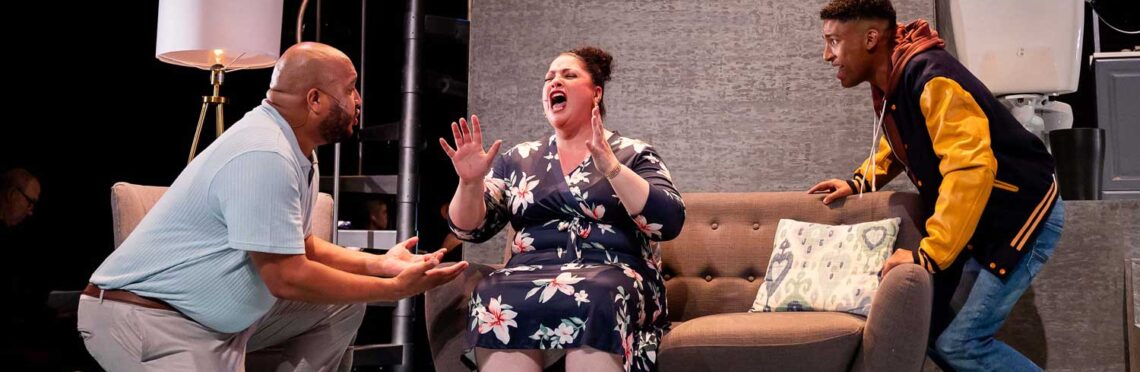 Anthony Pires, Jr., Sherée Marcelle, and Diego Cintrón in Central Square Theater and Front Porch Arts Collective's production of "next to normal". Photo: Maggie Hall.